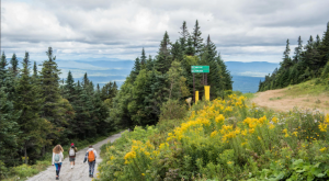Free Hike with a Guide logo