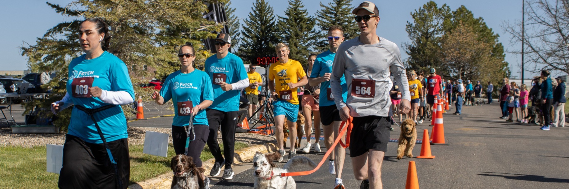 Dog Jog