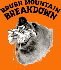 Brush Mountain Breakdown Trail Race logo