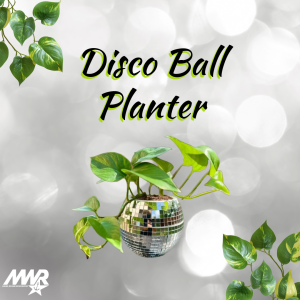 Disco Ball Planter logo