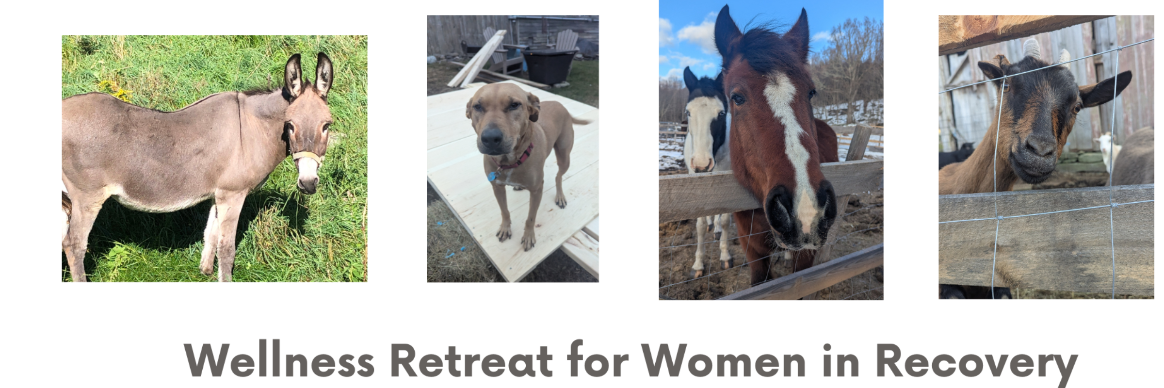 Wellness Retreat for Women in Recovery