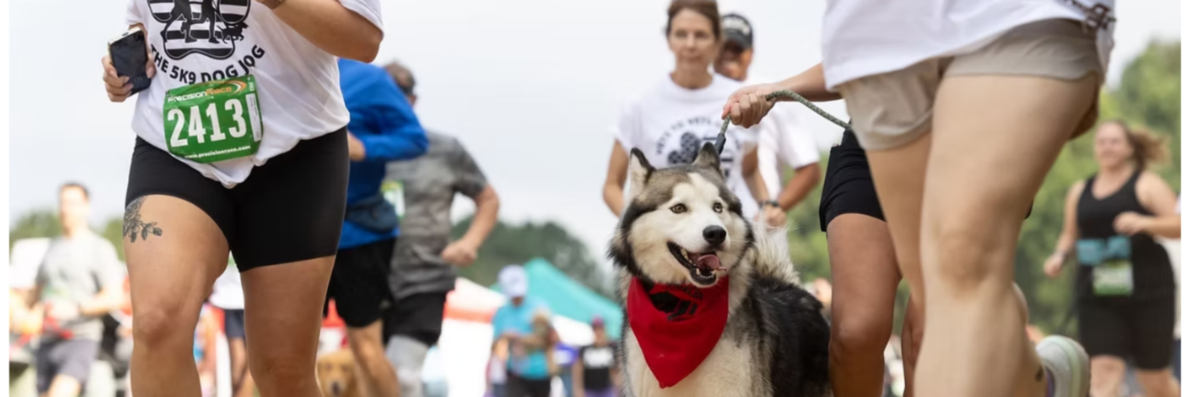 Vets To Vets United "The 5K9 Dog Jog"