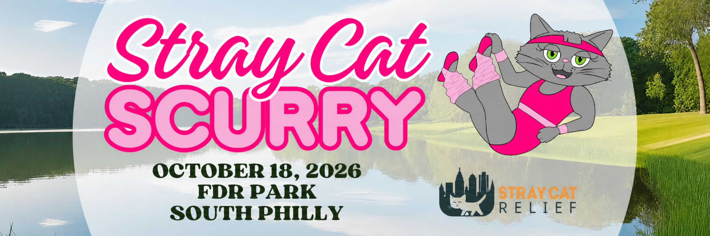 Stray Cat Scurry
