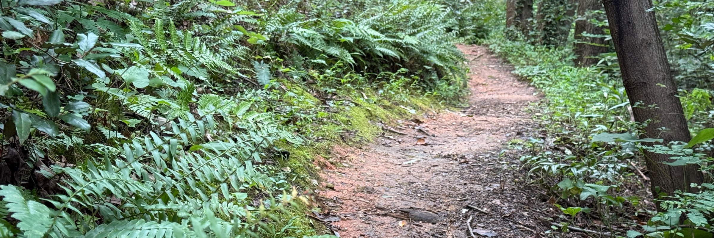 Grace Park Ultra (12 Hours, 2.1-Mile Trail Loop)