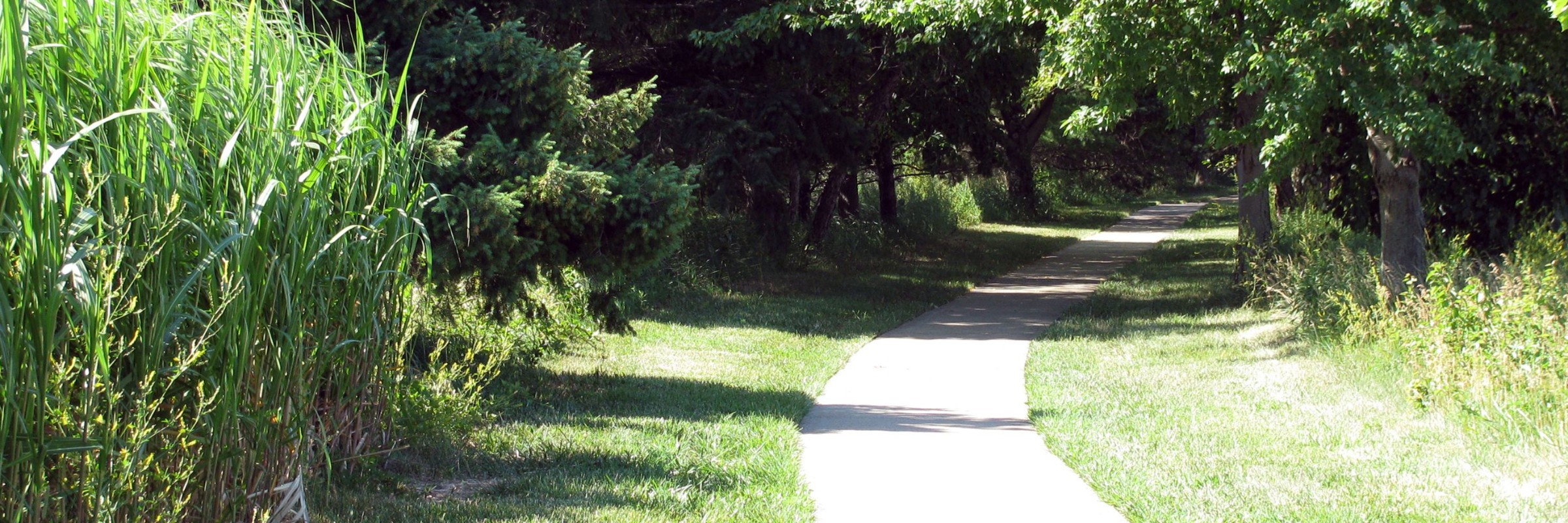 Mott Lake Trail Run (3Mile | 5Mile | 12.5K)