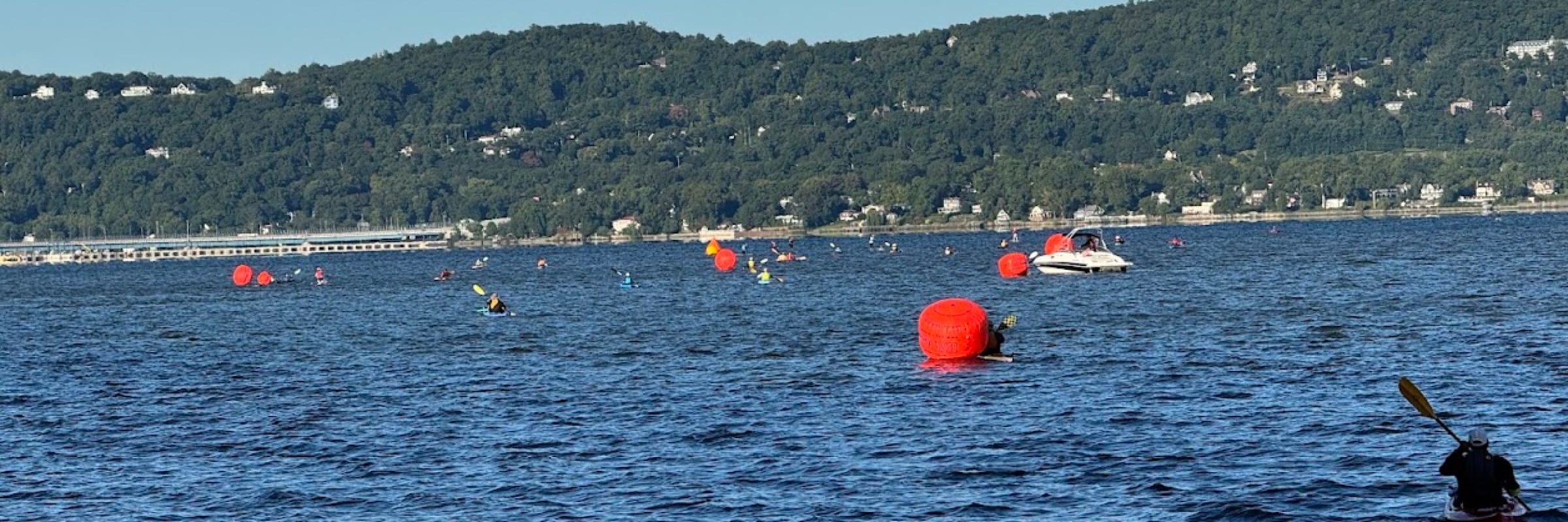 The Lighthouse Swim