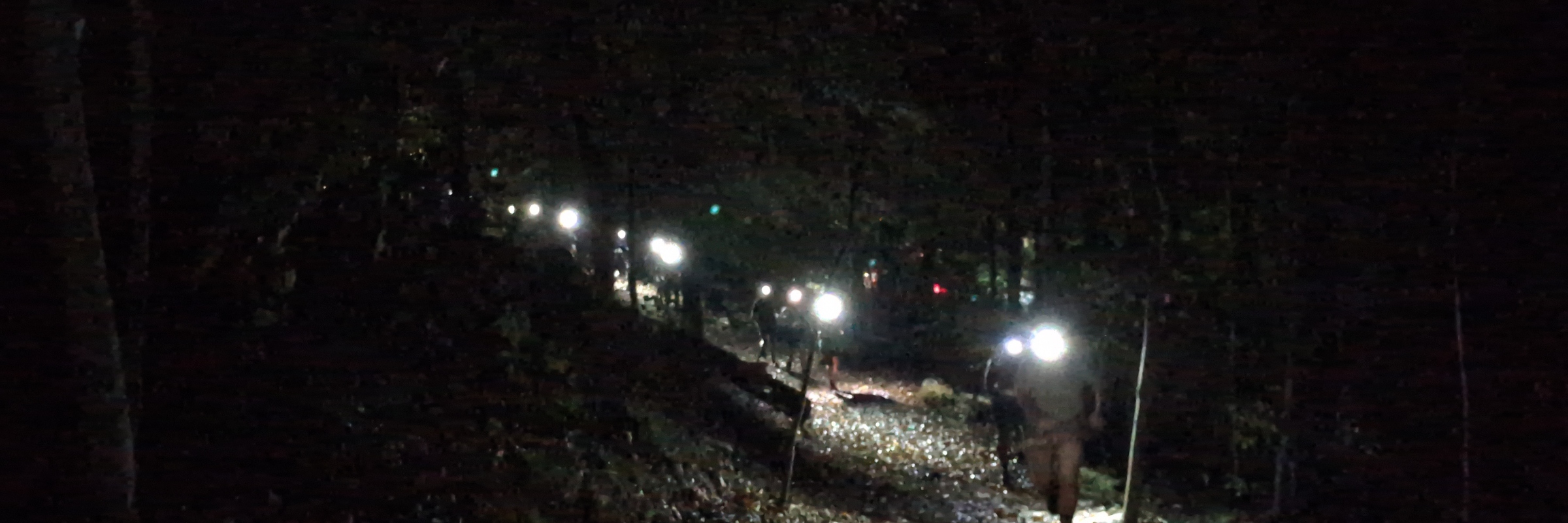Ultraviolet Mushroom Hunt with Drew Palmer