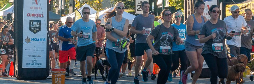 2026 Woofstock Survivor 5K and Dog Walk