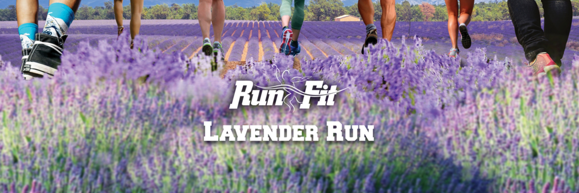 LAVENDER RUN