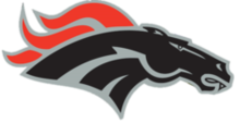 Central Hillsborough Championships logo