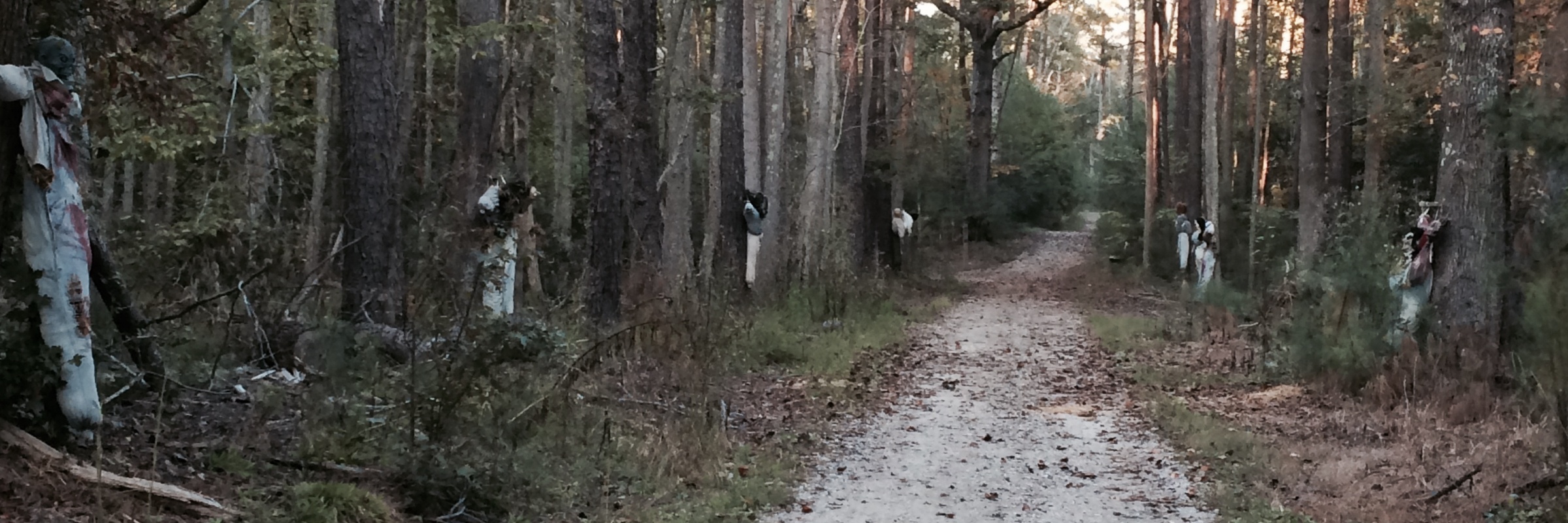 Frightening 4 Trail Run/Hike
