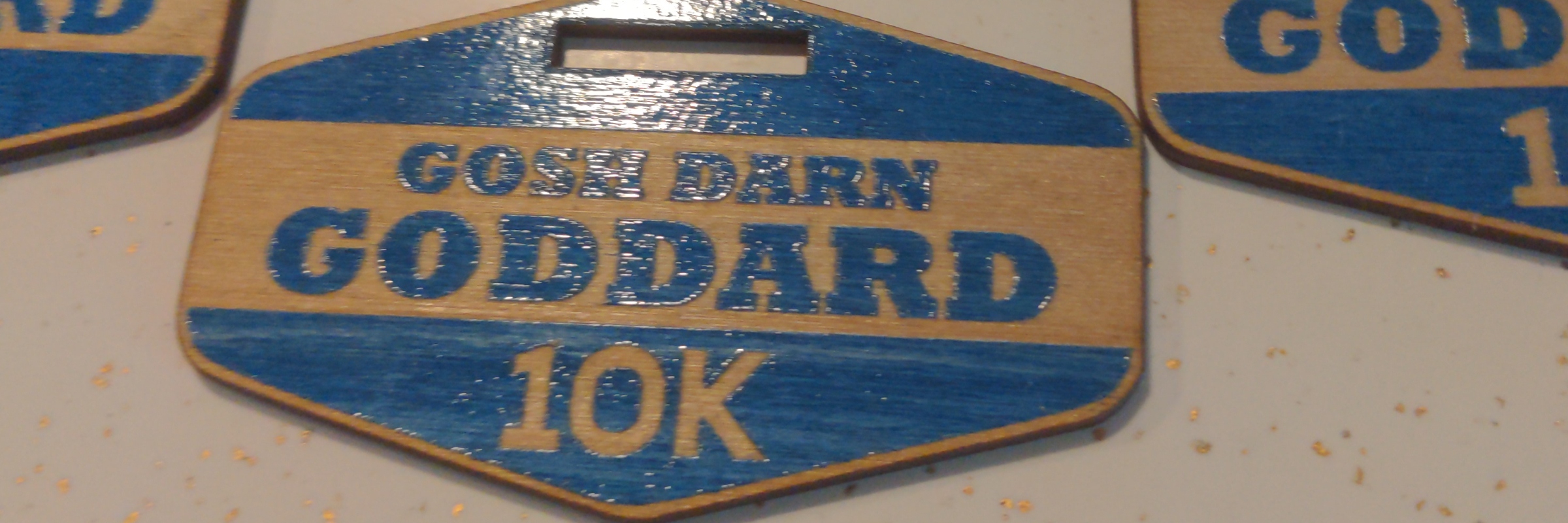 Gosh Darn Goddard 5k & 10k