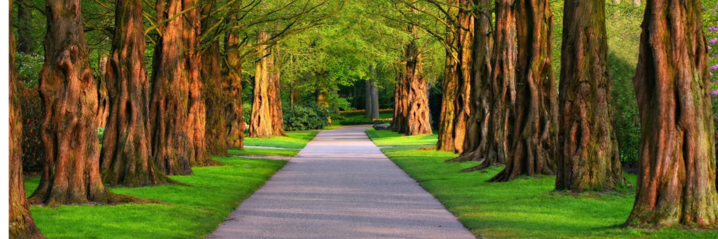 Find Your Path - Virtual Walk/Run/Bike Race