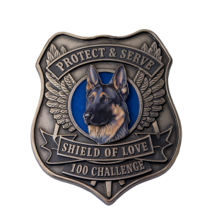 Shield of Love 100 Challenge logo