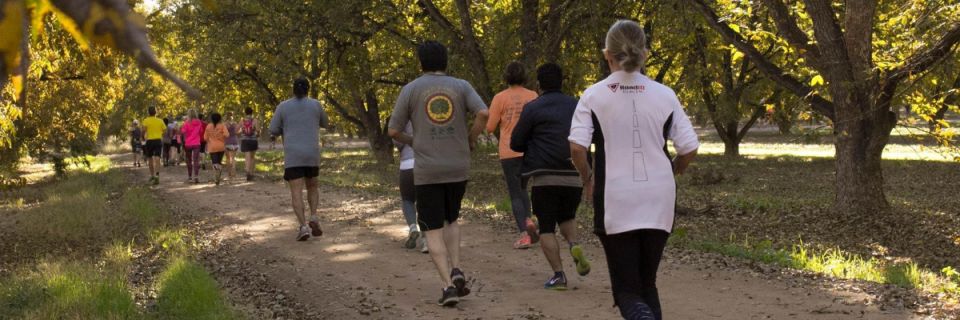 17th Annual Pecan Classic 10K and 5K Run/Walk