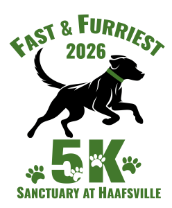 The Fast and Furriest 5k presented by the Sanctuary at Haafsville logo