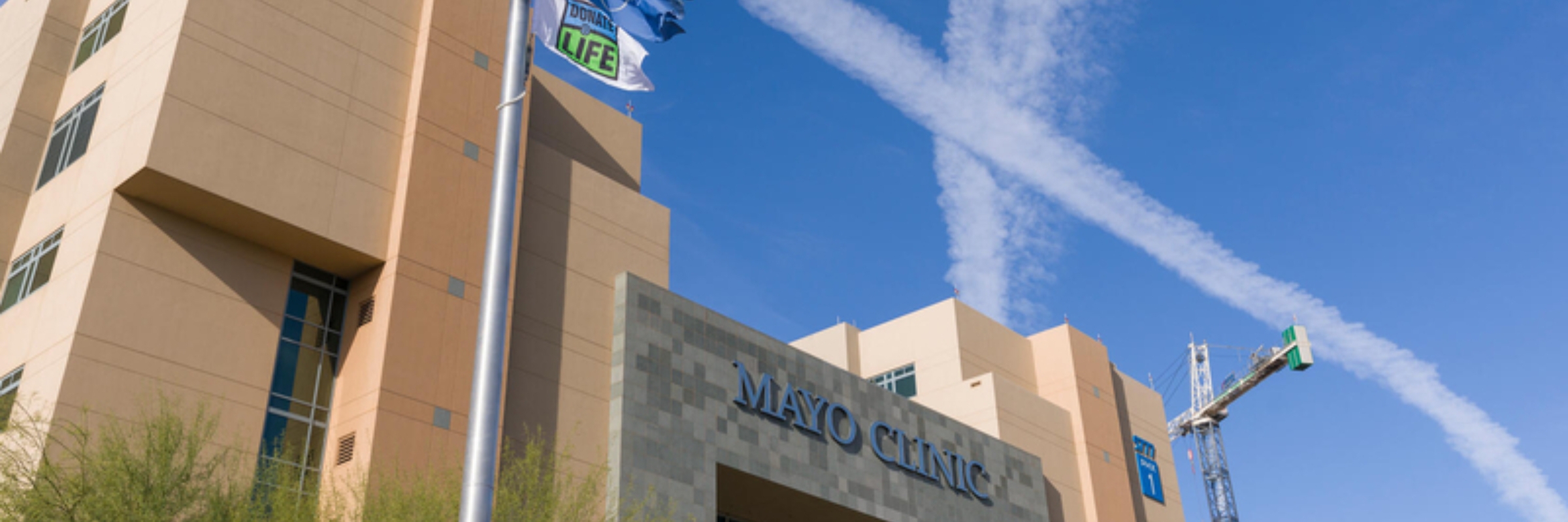 Mayo Clinic Arizona Gift of Life Honor Walk 2026