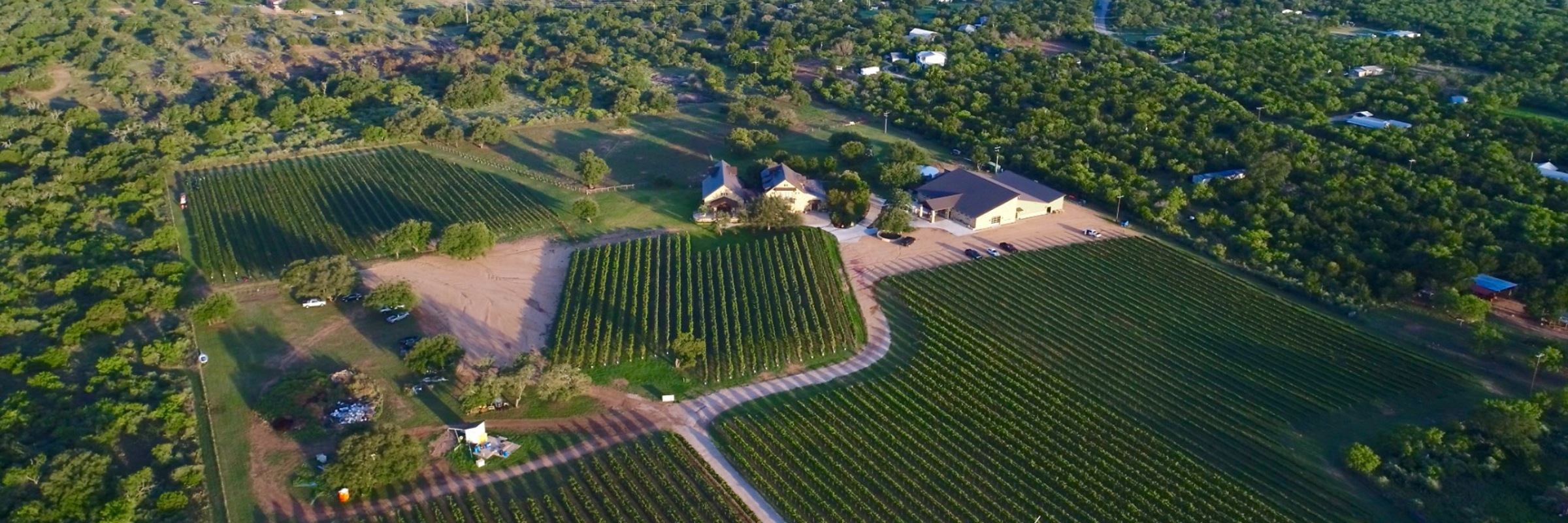 Perissos Vineyard Haunted Wine Run 5k