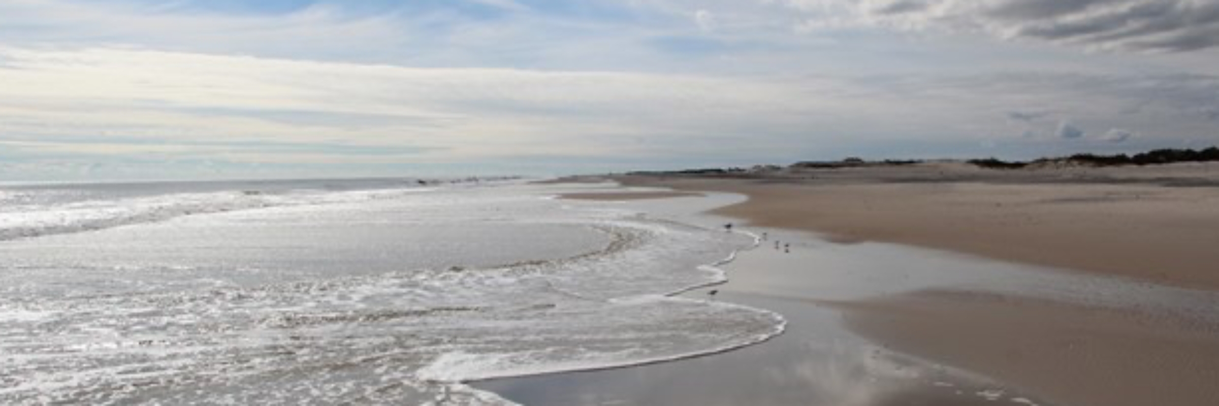 The TransDelmarva Race