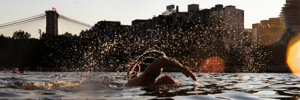 NYC Oyster Swim