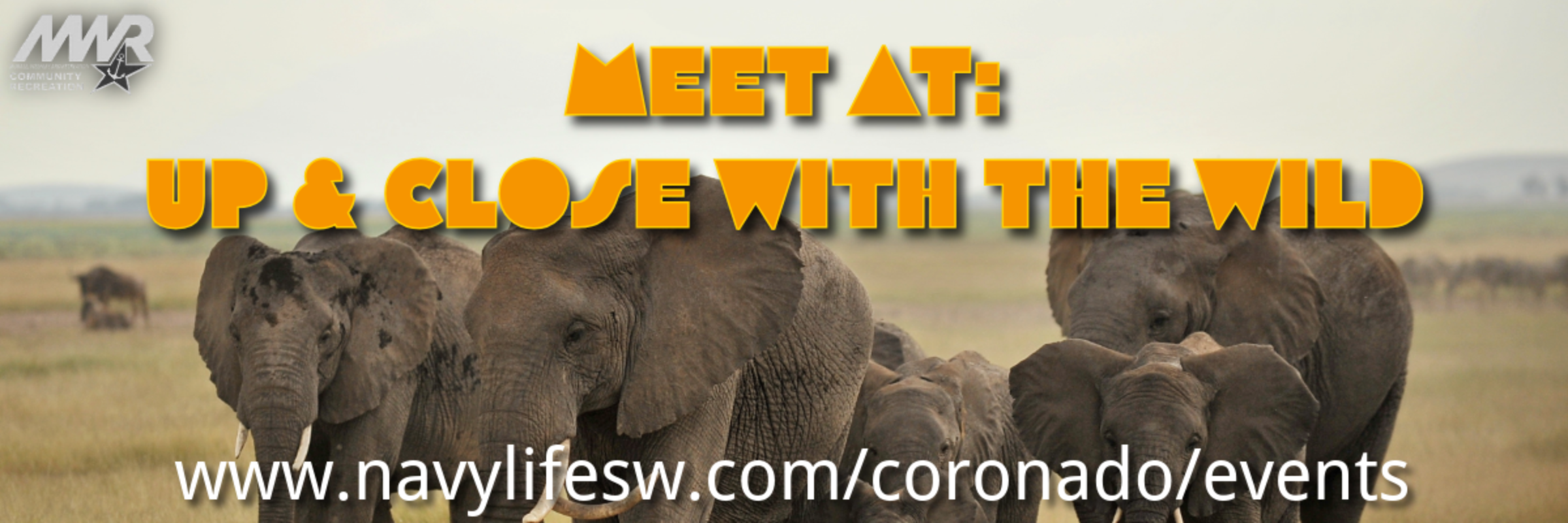 Meet at: Safari Behind the Scenes Tour