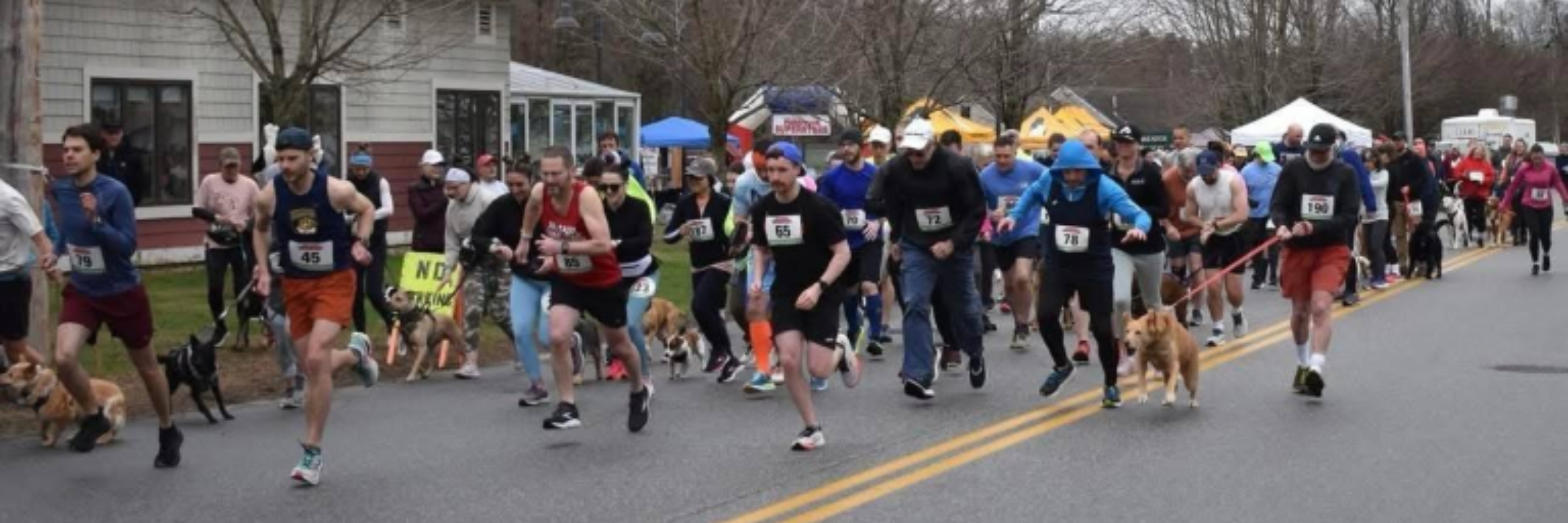 Dash for Dogs 5k Run or Walk