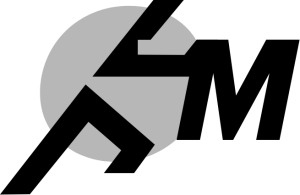 Gemini Timing Demo logo
