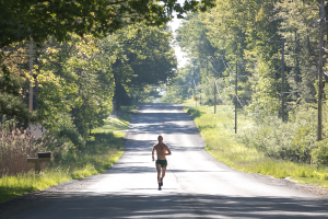 Ludington Lakestride Half Marathon 10K and 5k logo
