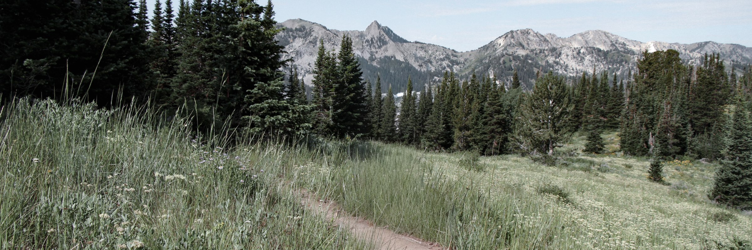Triple Trail Challenge