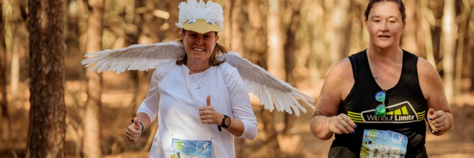 Snowbird Challenge (50k - 13.1 - 5.2 - Relay)