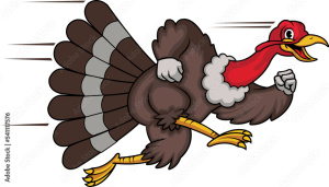 Stratford Turkey Day Trot logo