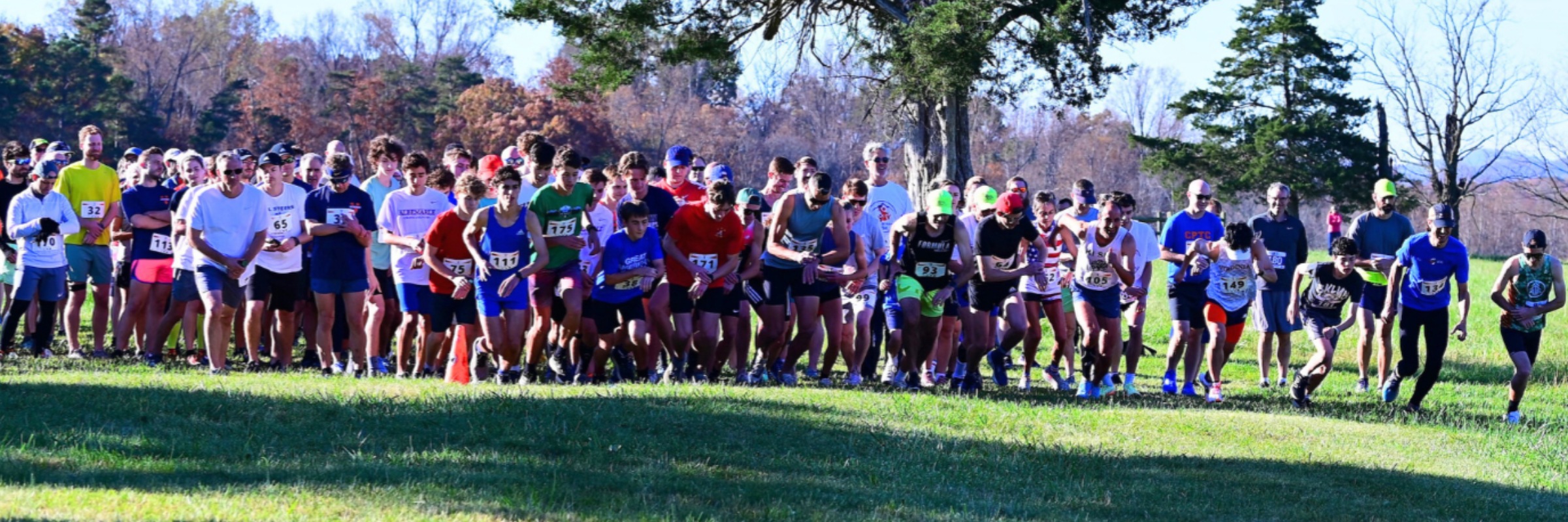 Bill Steers 5k
