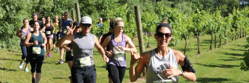 Run the Vineyards Saddlehill Winery 5K