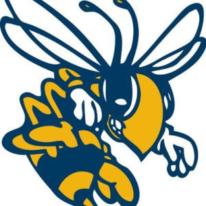 Freeport Flash 5K/10K -  Run/Walk with a Virtual option logo