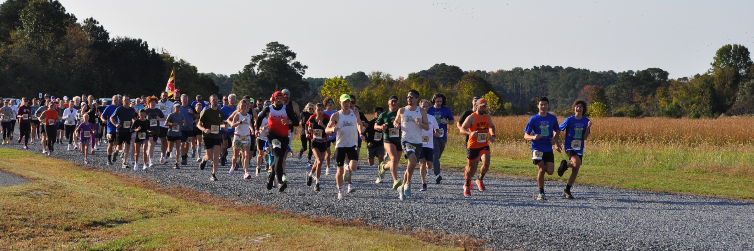 Pirate's Wharf 5K