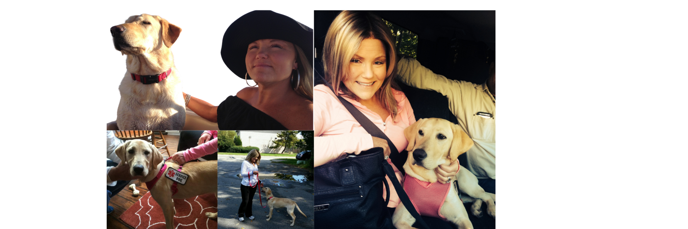 Mandy’s Angels Paws for a Cause 5K