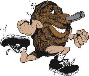 Cow Chip Classic Run/Walk logo