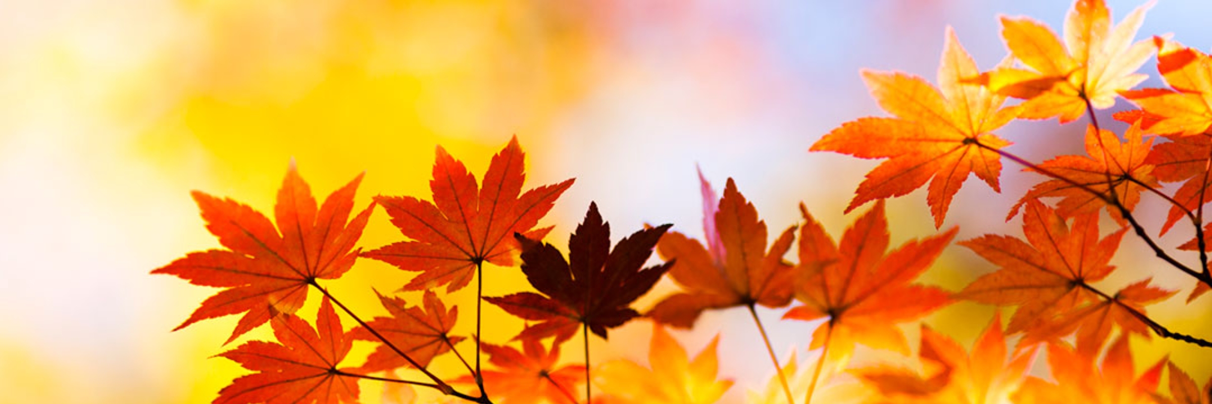 Fall For Jesus 5k Run or Walk- Benefiting AHG Troop OH-3125