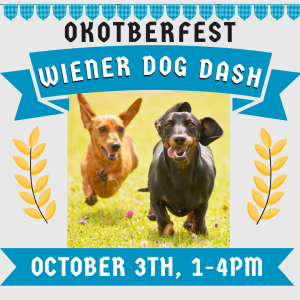 Wiener Dog Dash logo