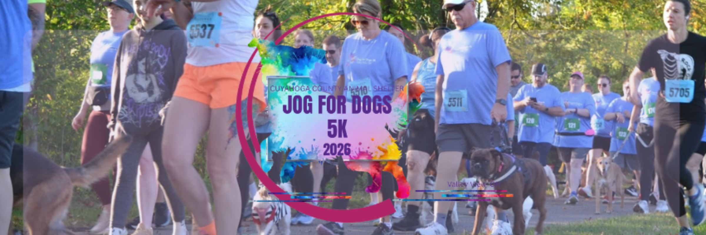 Jog for Dogs