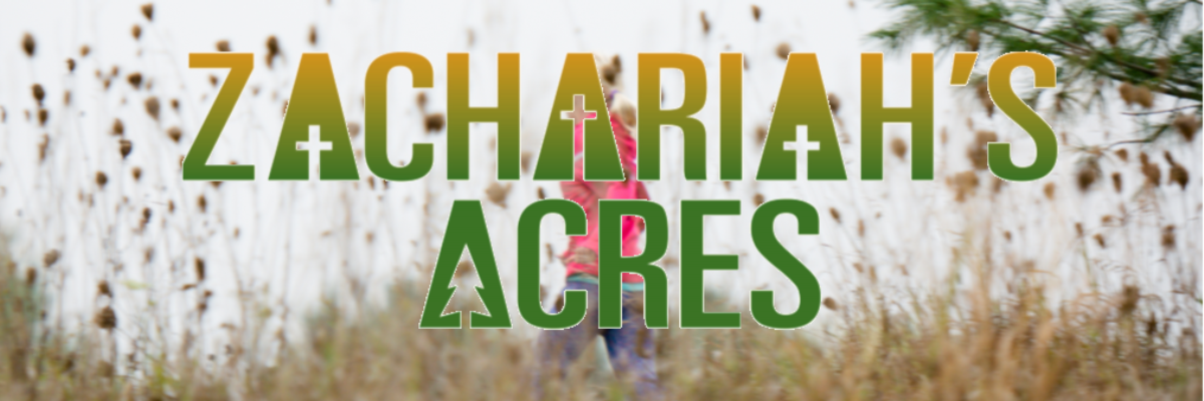 Zachariah's Acres Fall Run, Walk & Roll