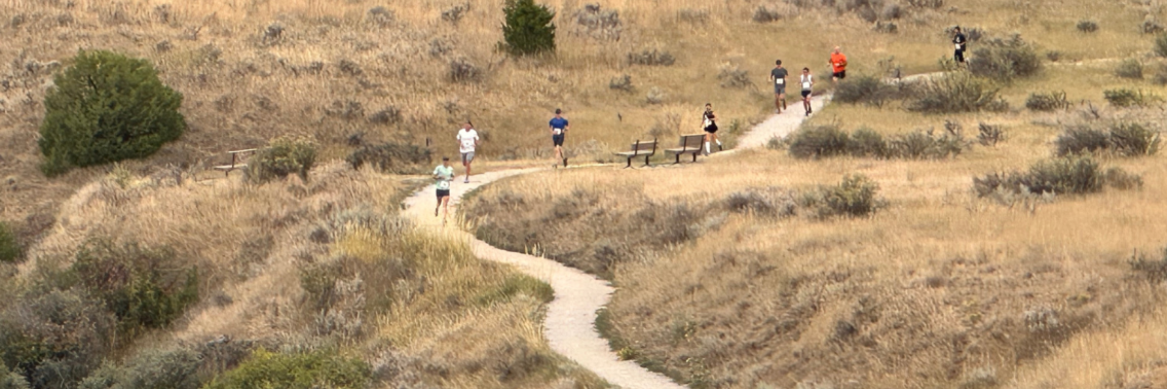 Rim Runner Trail Trek