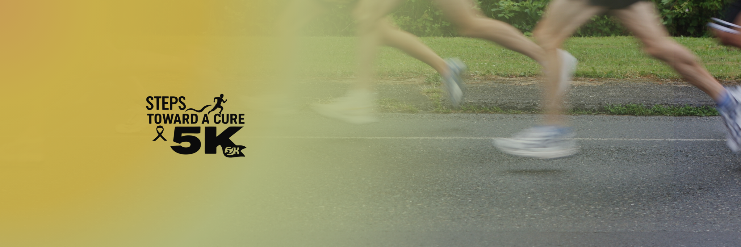 Steps Toward a Cure 5K