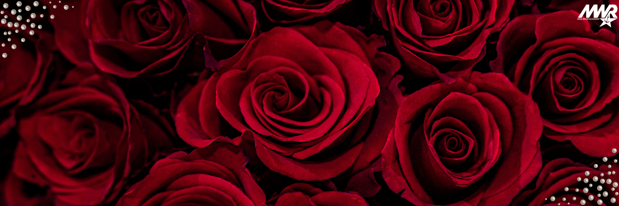 Daddy Daughter Dance: Beauty and the Beast
