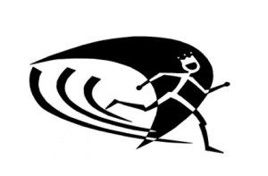 Christ the King Regional School's King's Run logo