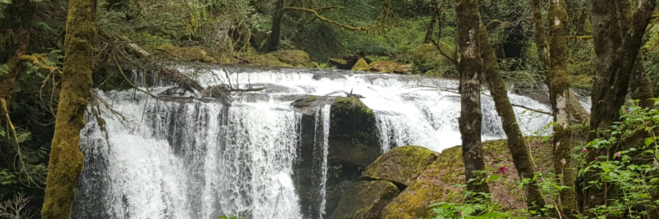 Roseburg to Coos Bay Relay