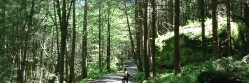 Sinnemahone Ultra Trail Run Sponsored by Keystone Rural Health Consortia