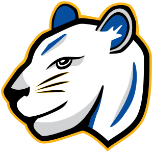 Panther Dash logo