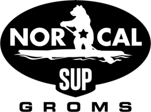 Paddlesplash logo