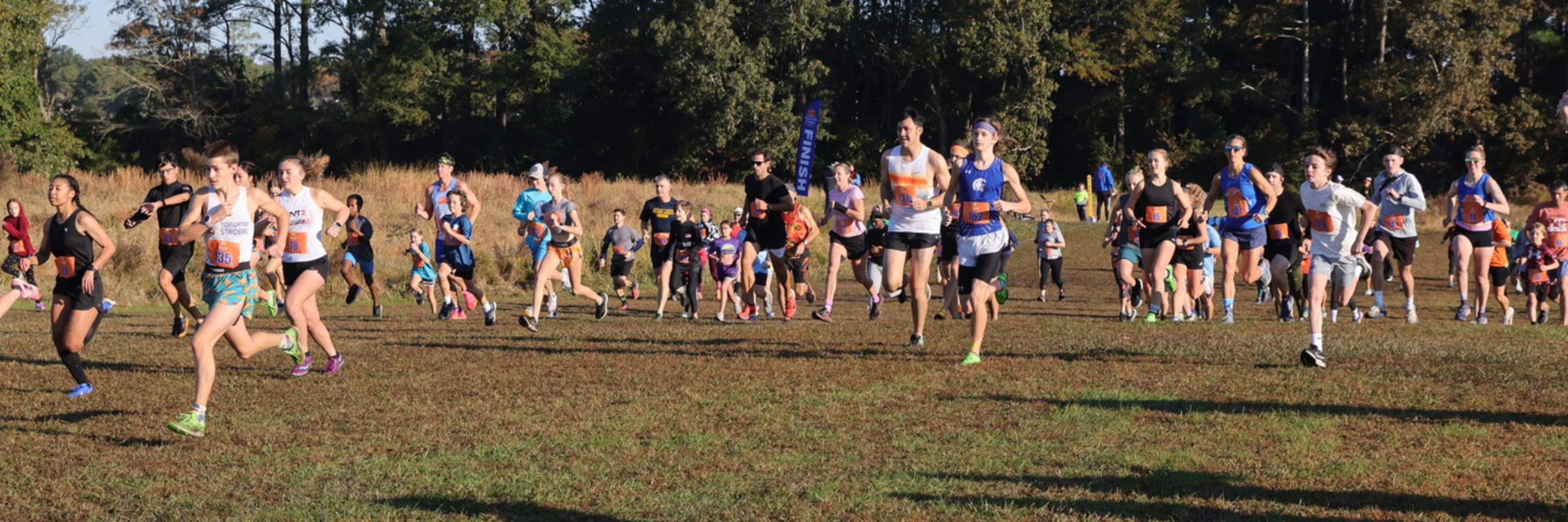 Strider  XC Classic